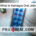 What Is Kamagra Oral Jelly viagra1